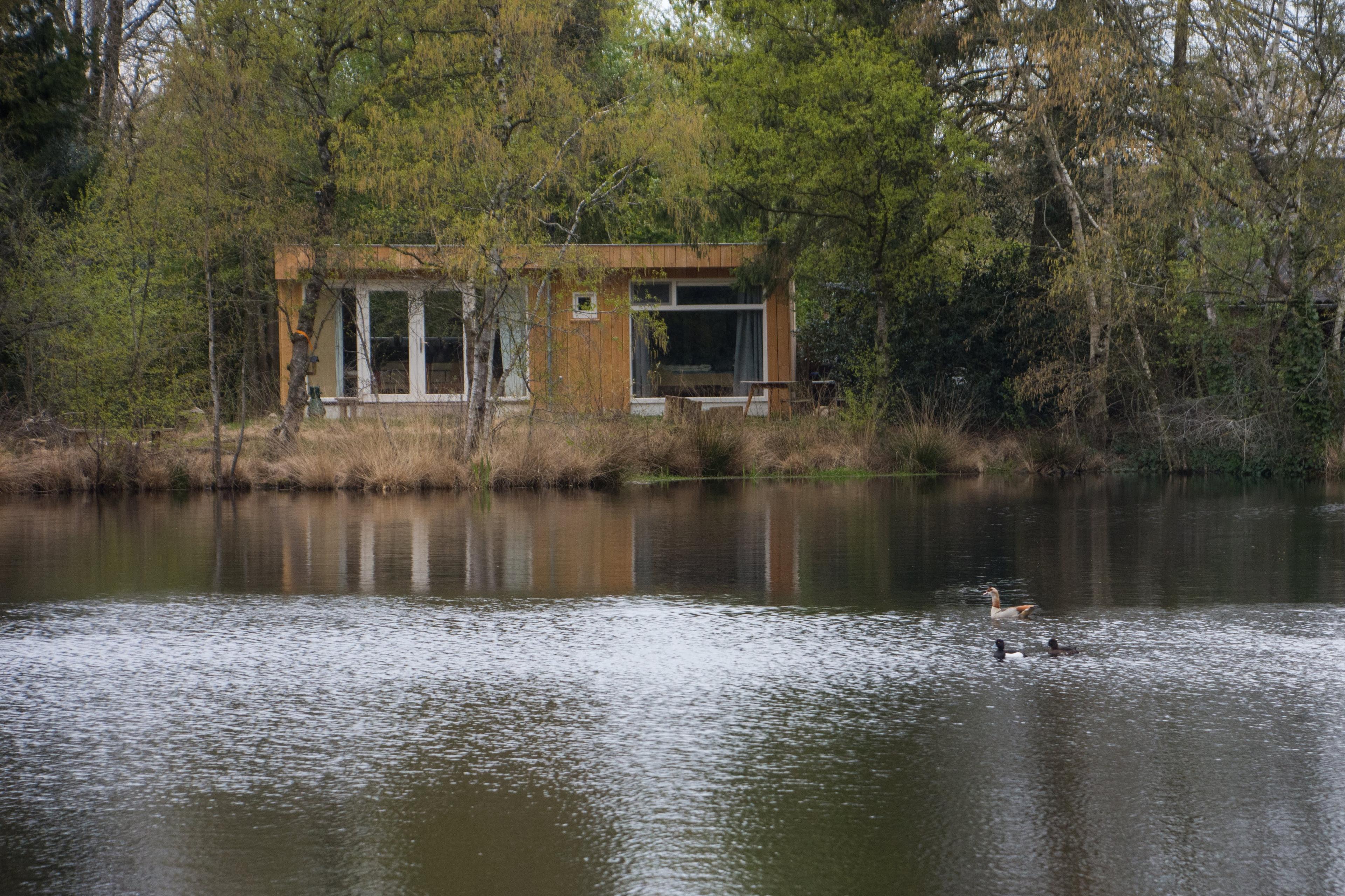 Maison nature à Een
