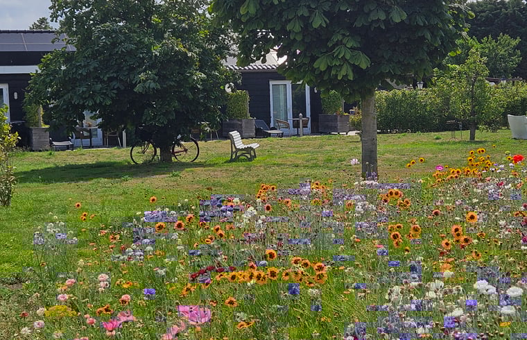 Natuurhuisje in Sommelsdijk