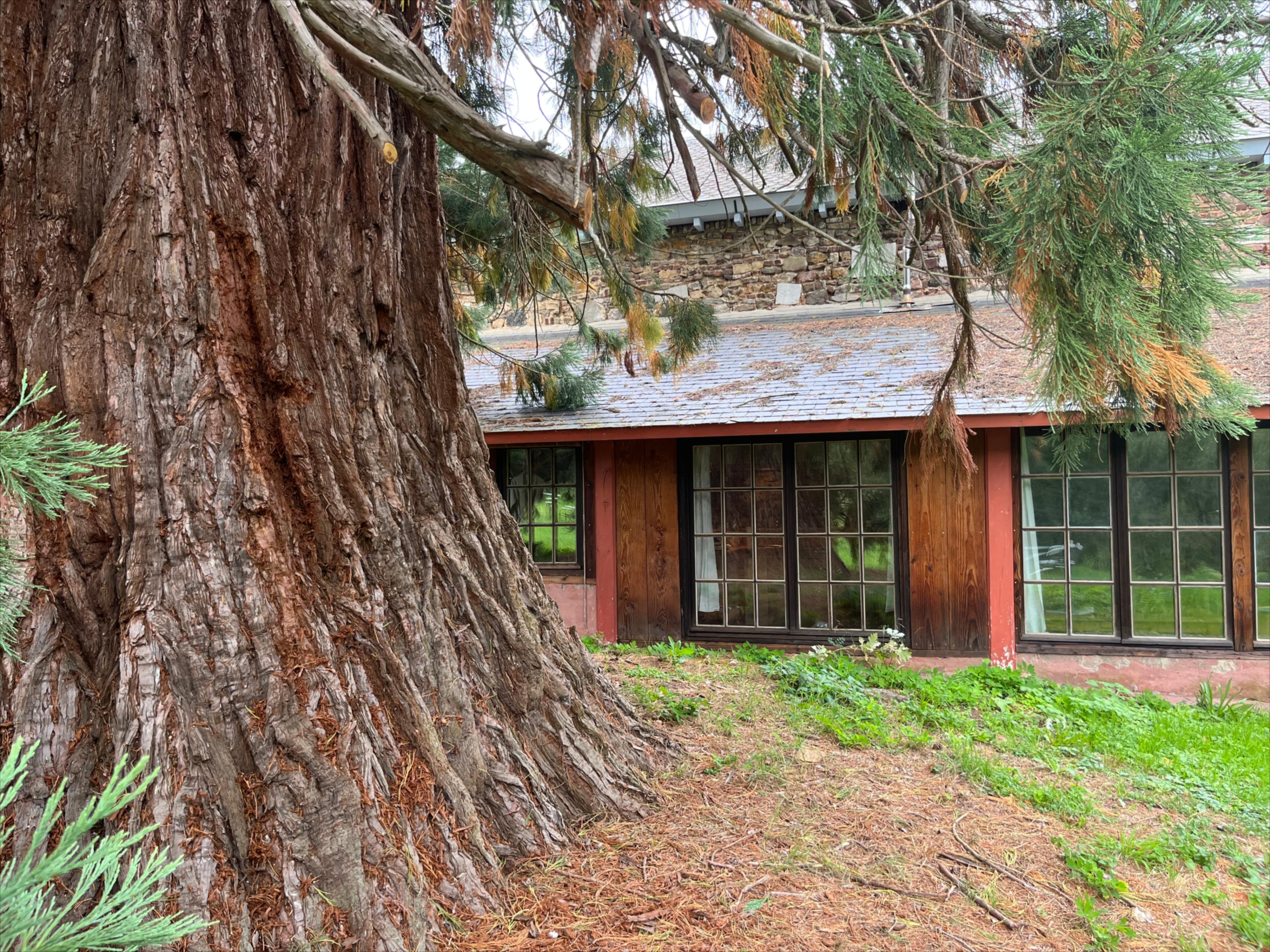Maison nature à Mortier