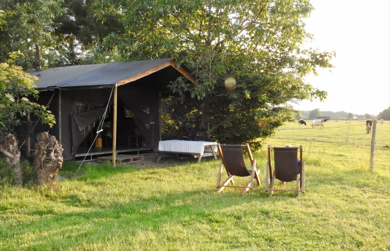 Natuurhuisje in Ophemert