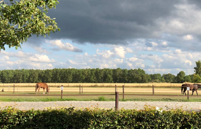 Natuurhuisje in Anderen