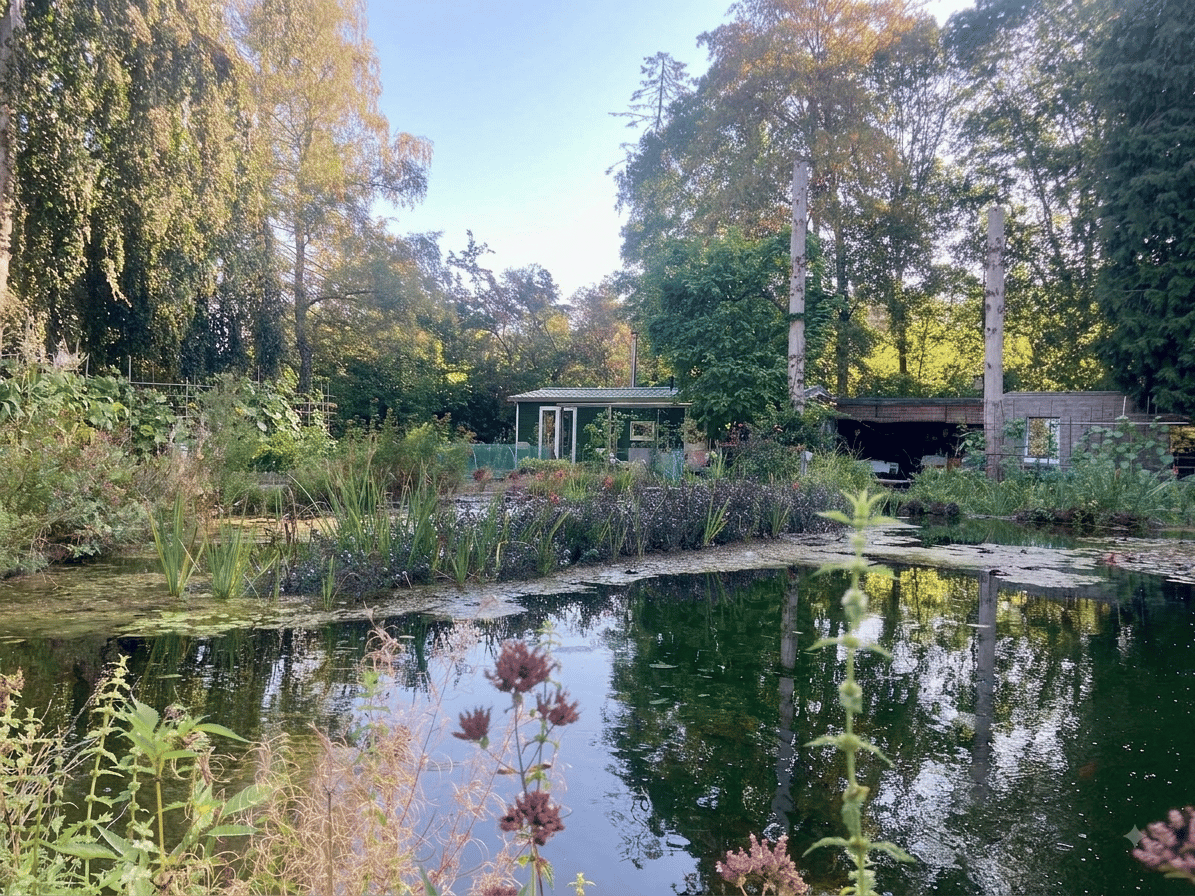 Maison nature à Lembeke