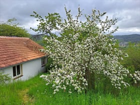 Maison nature dans Spangenberg