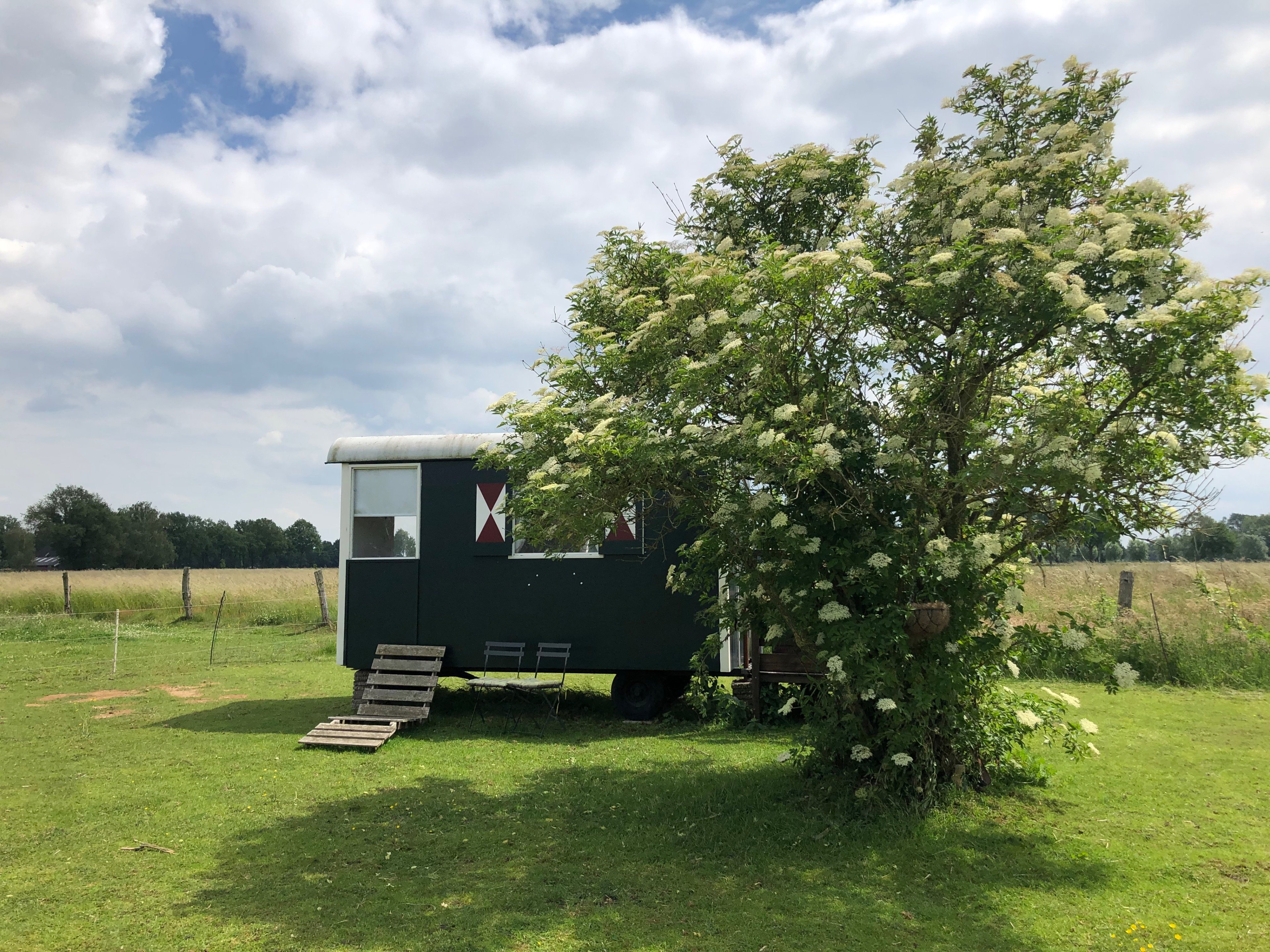 Natuurhuisje in Wenum Wiesel