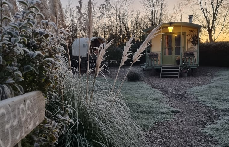 Natuurhuisje in Scharendijke