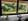 Naturhäuschen in FRANSÈCHES
