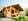 Nature house in Julianadorp