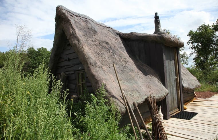 Natuurhuisje in Uffelte