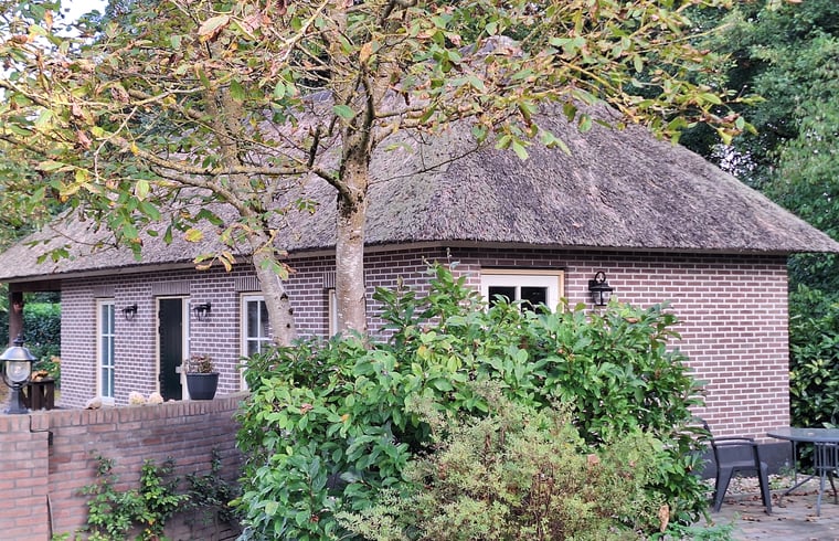 Natuurhuisje in Emst