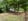Nature house in De Waal
