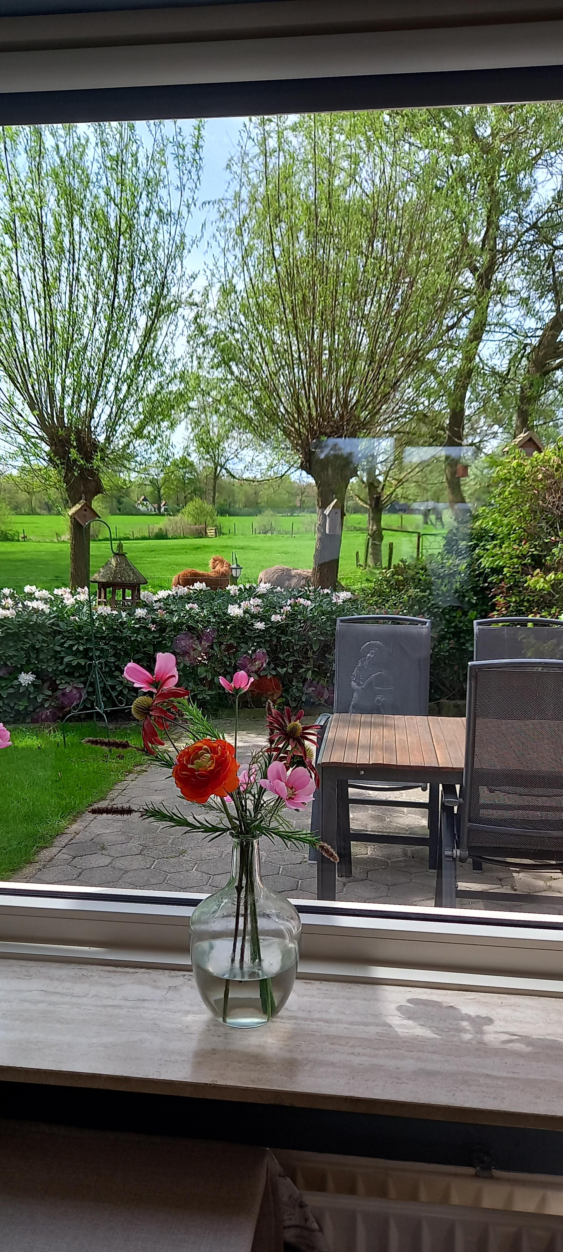 Maison nature à de Lutte