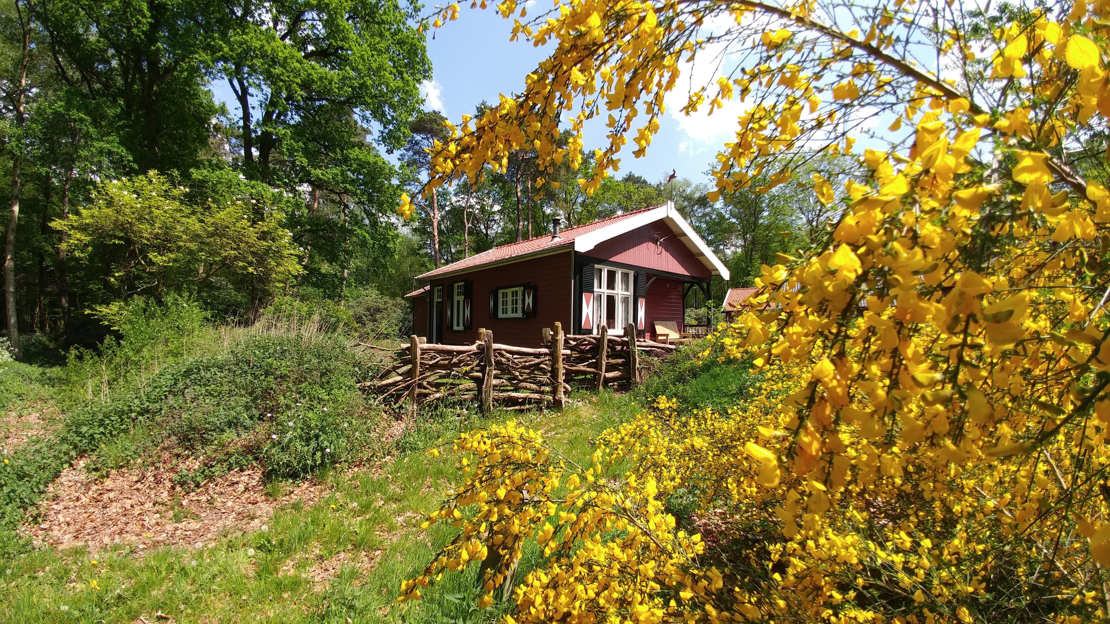Nature house in Okkenbroek