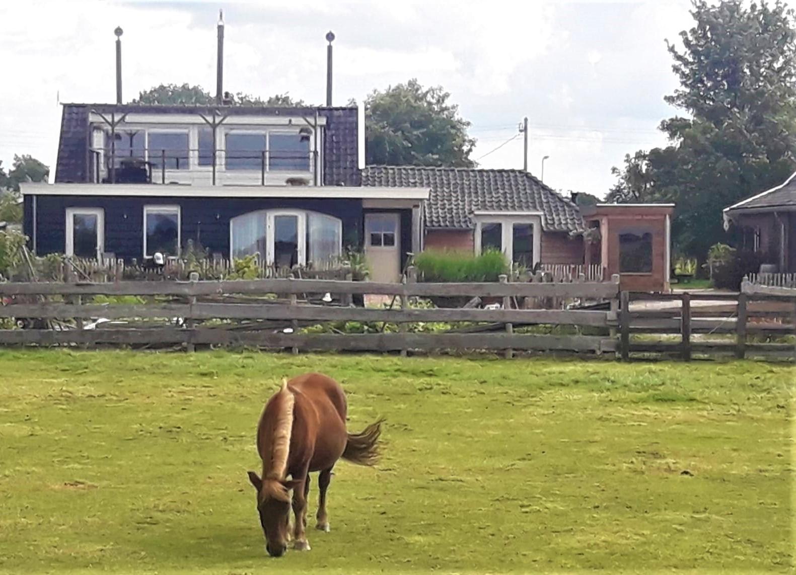 Nature house in Bodegraven