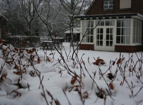 Nature house in Groenlo: 35