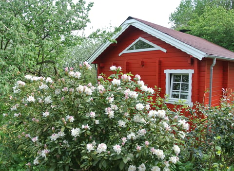 Nature house in Bernkastel-Kues: 28