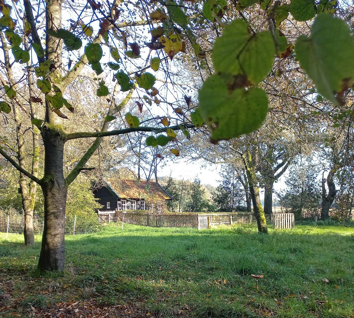 Casa nella natura a Brucht