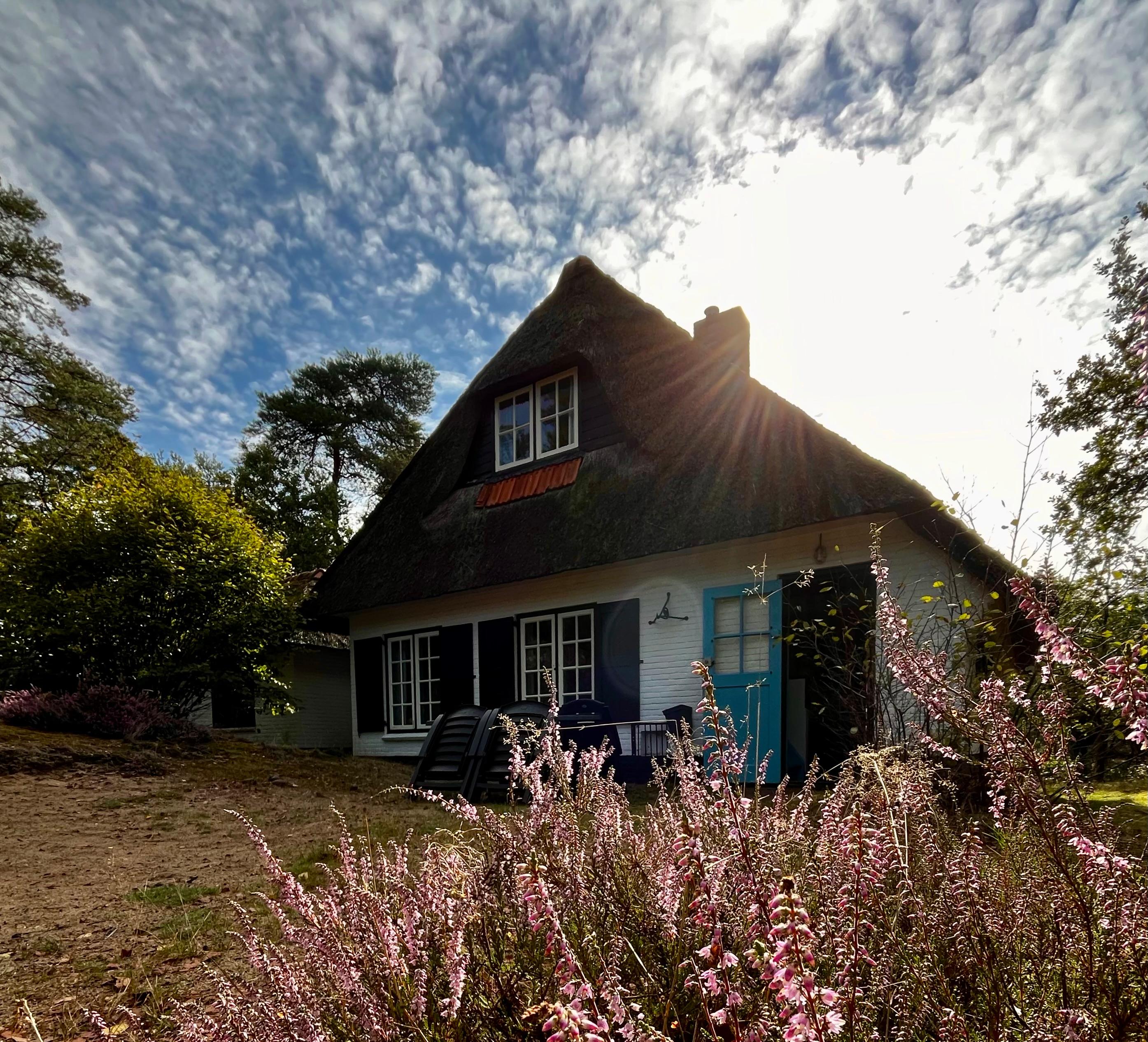 Maison nature à Doornspijk