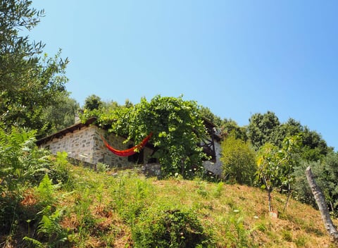 Nature house in Mouresi, Pelion: 7