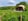 Nature house in Ruurlo