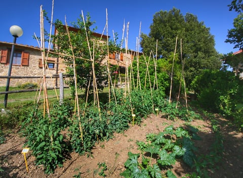 Nature house in Paciano - thumbnail: 29: 29