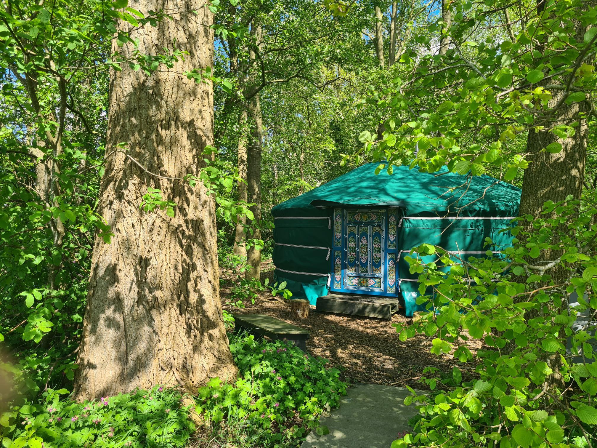 Casa nella natura a Een-West