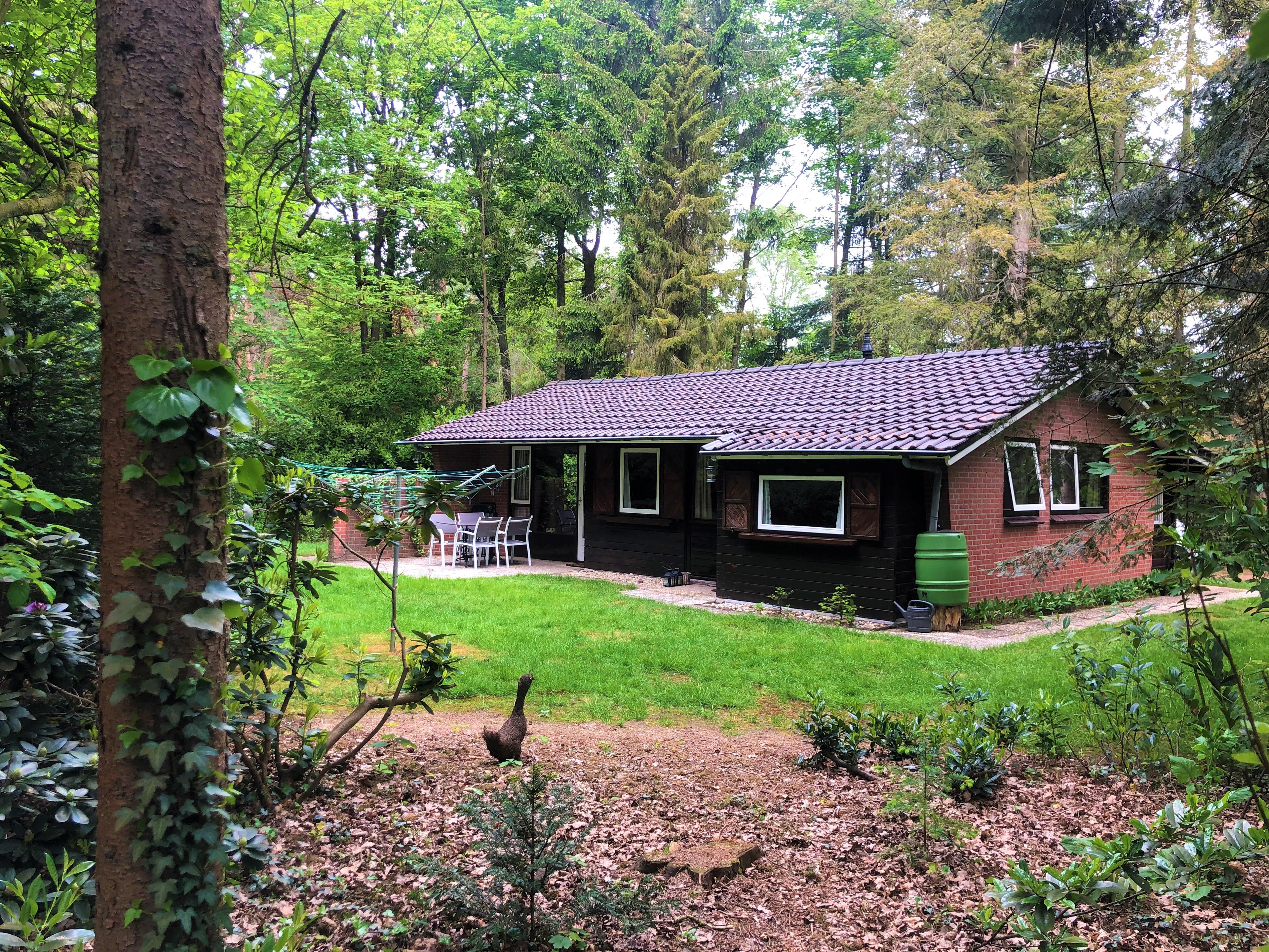 Maison nature à Winterswijk