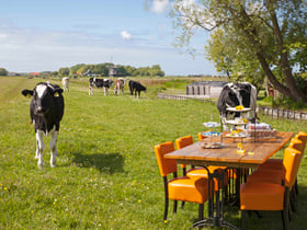 Maison nature à Oudesluis