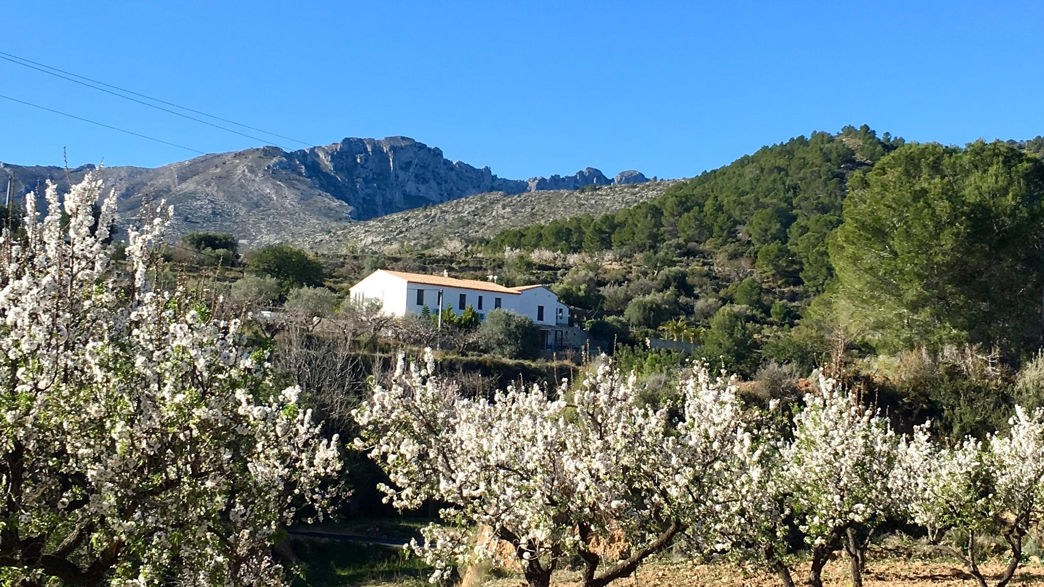 Nature house in Benissa
