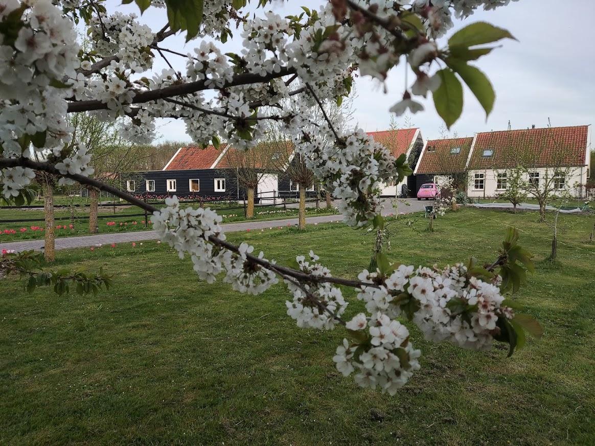Nature house in Noordgouwe