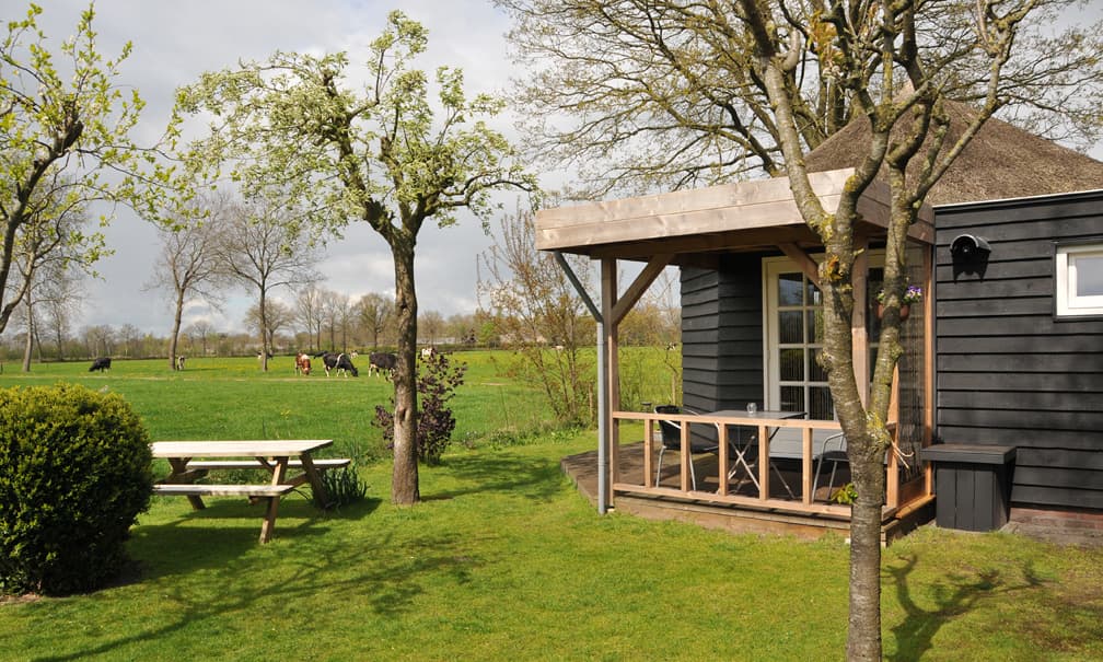 Casa nella natura a Balkbrug