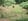 - image: 12