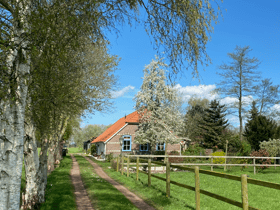 Naturhäuschen in Vinkenbuurt