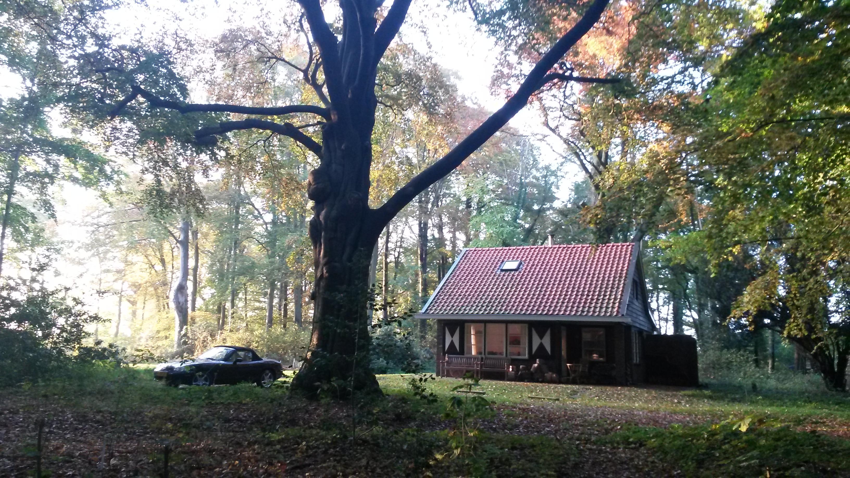 Casa nella natura a Midlaren