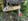 Nature house in Schliersee
