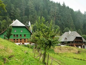 Maison nature à Triberg