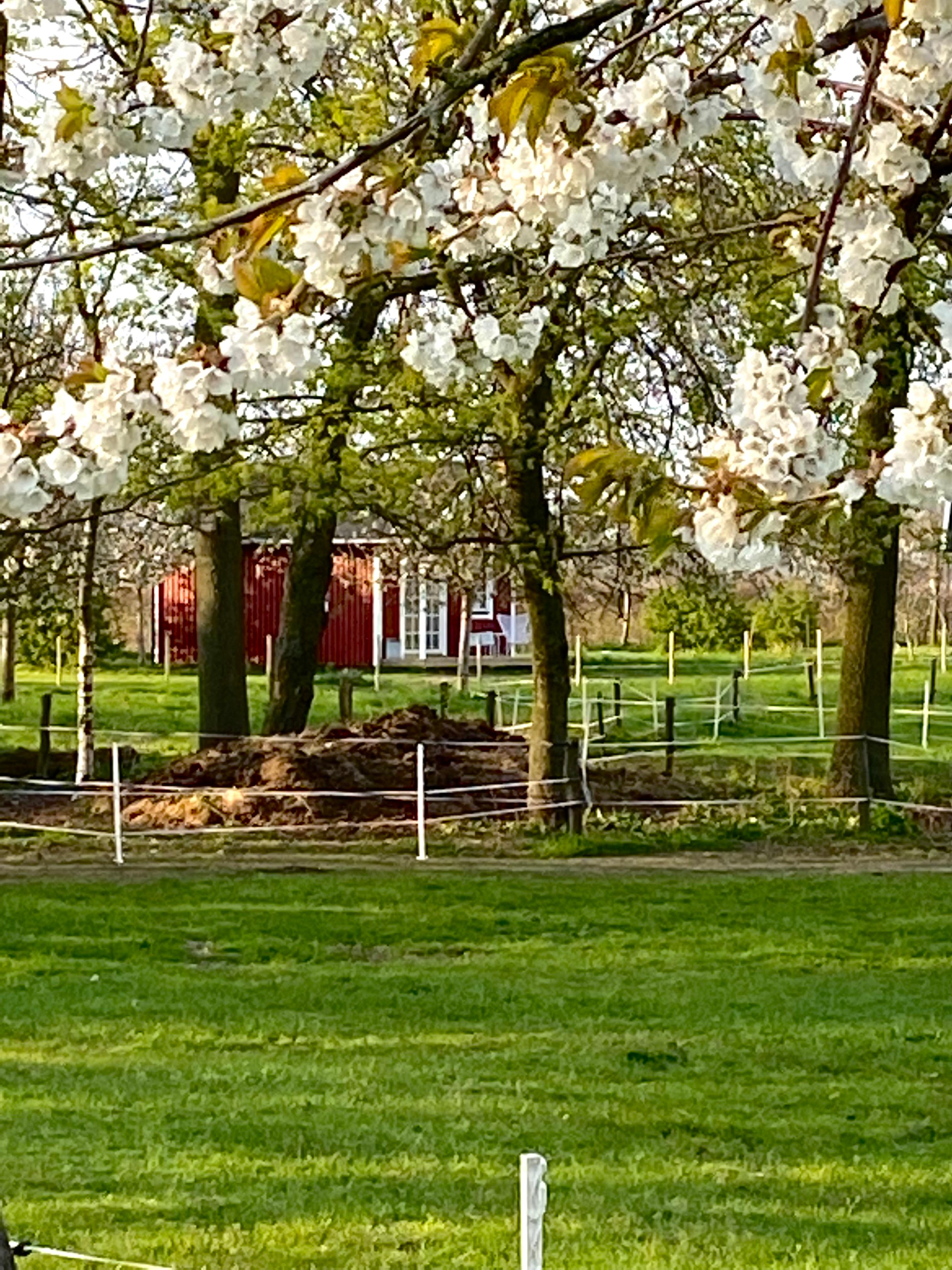 Maison nature à Heijen