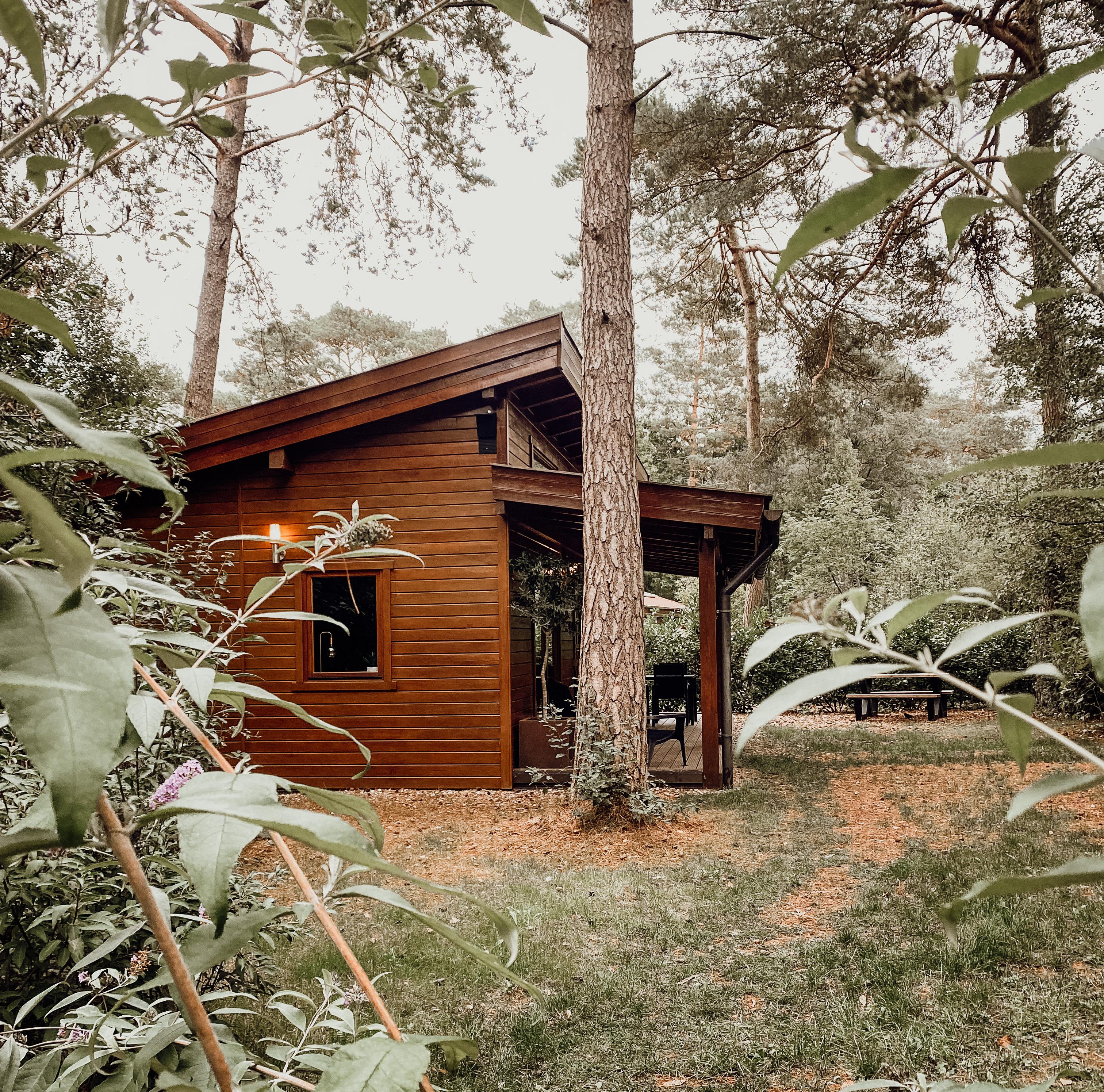 Maison nature à Emst (gemeente Epe)