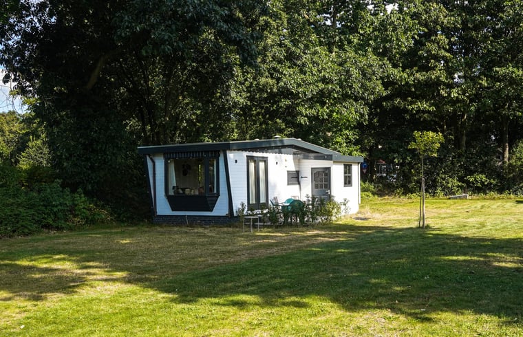 Bungalow in Elspeet — foto 2