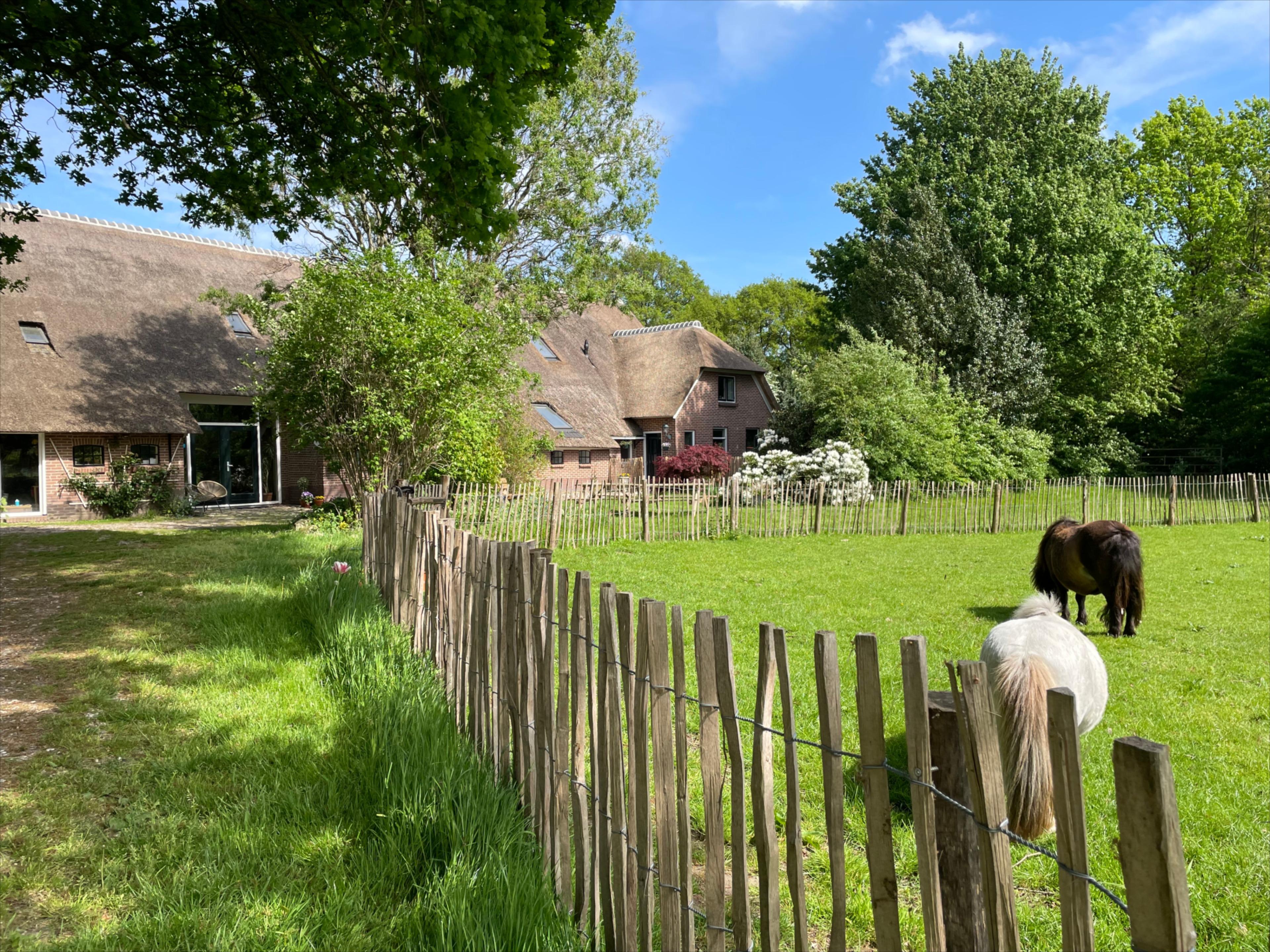 Maison nature à Zwiggelte