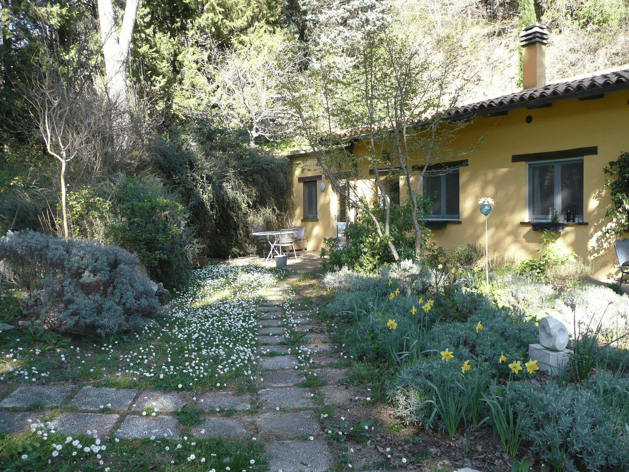 Nature house in Ficulle(TR)