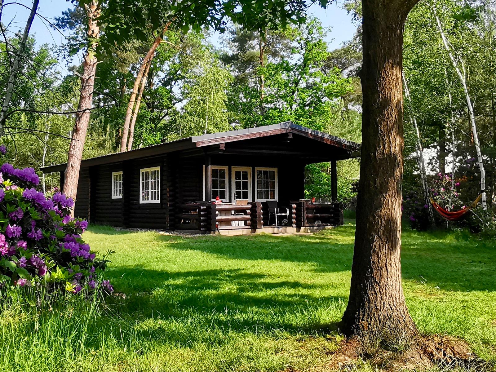 Maison nature à Holten
