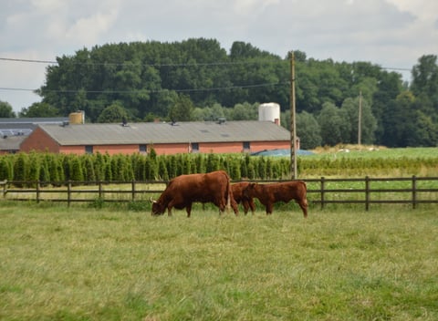 Natuurhuisje in Oostkamp - thumbnail: 33: 33