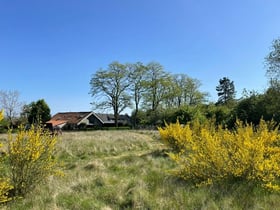 Natuurhuisje in Paal