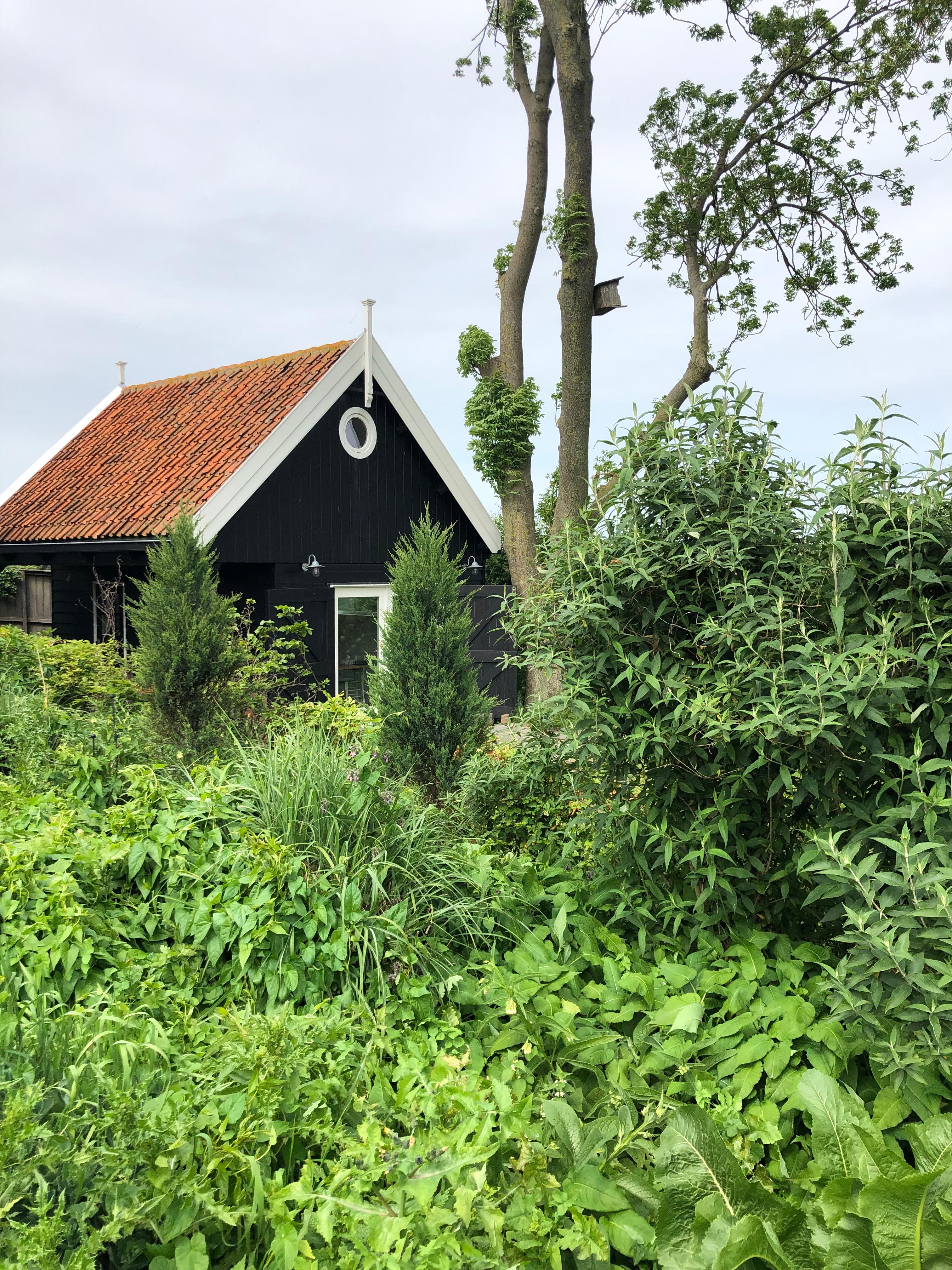 Maison nature à Amsterdam