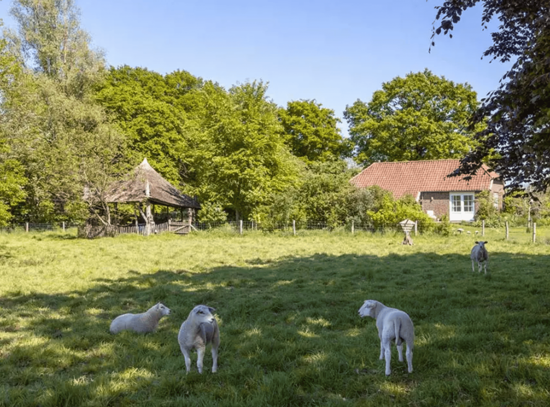 Nature house in Baak