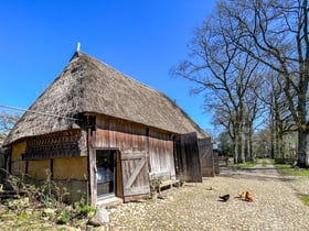 Casa nella natura a Oosterhesselen