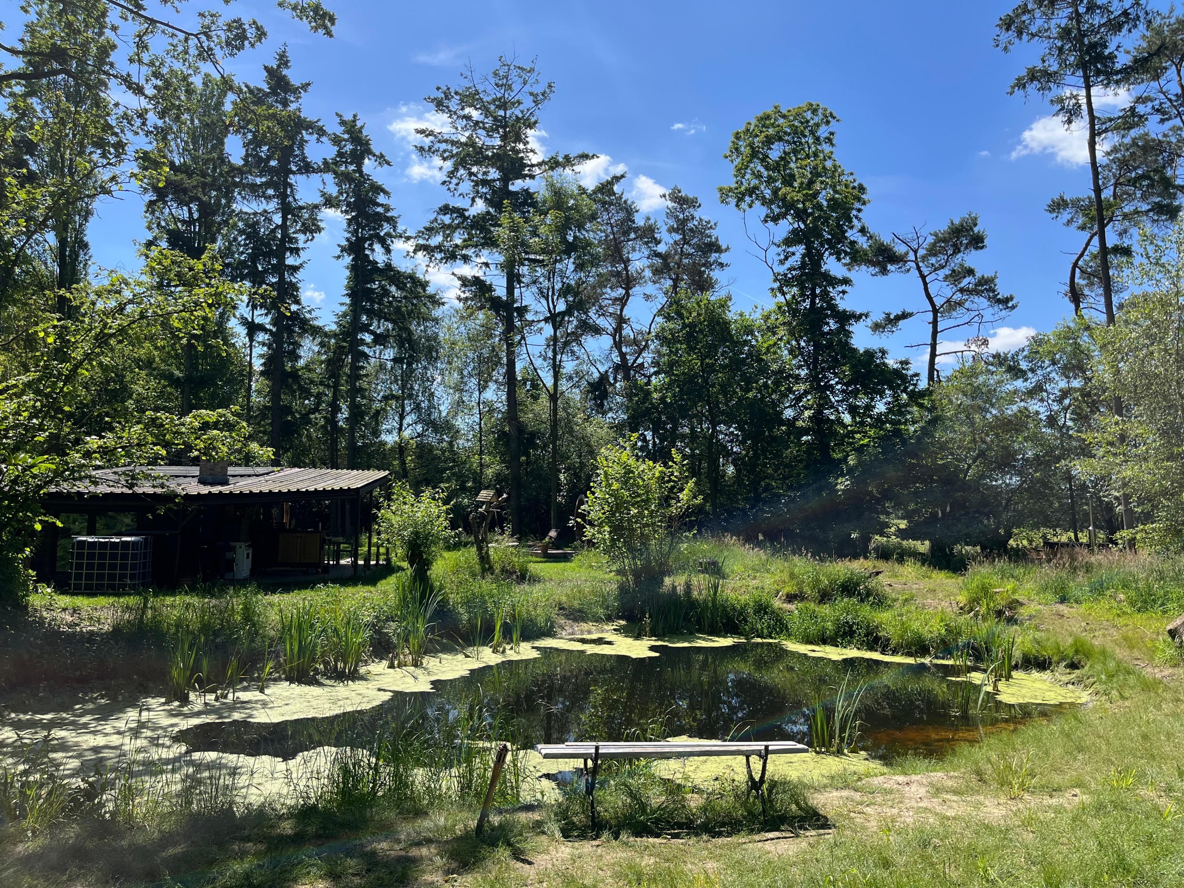 Maison nature à Lokeren