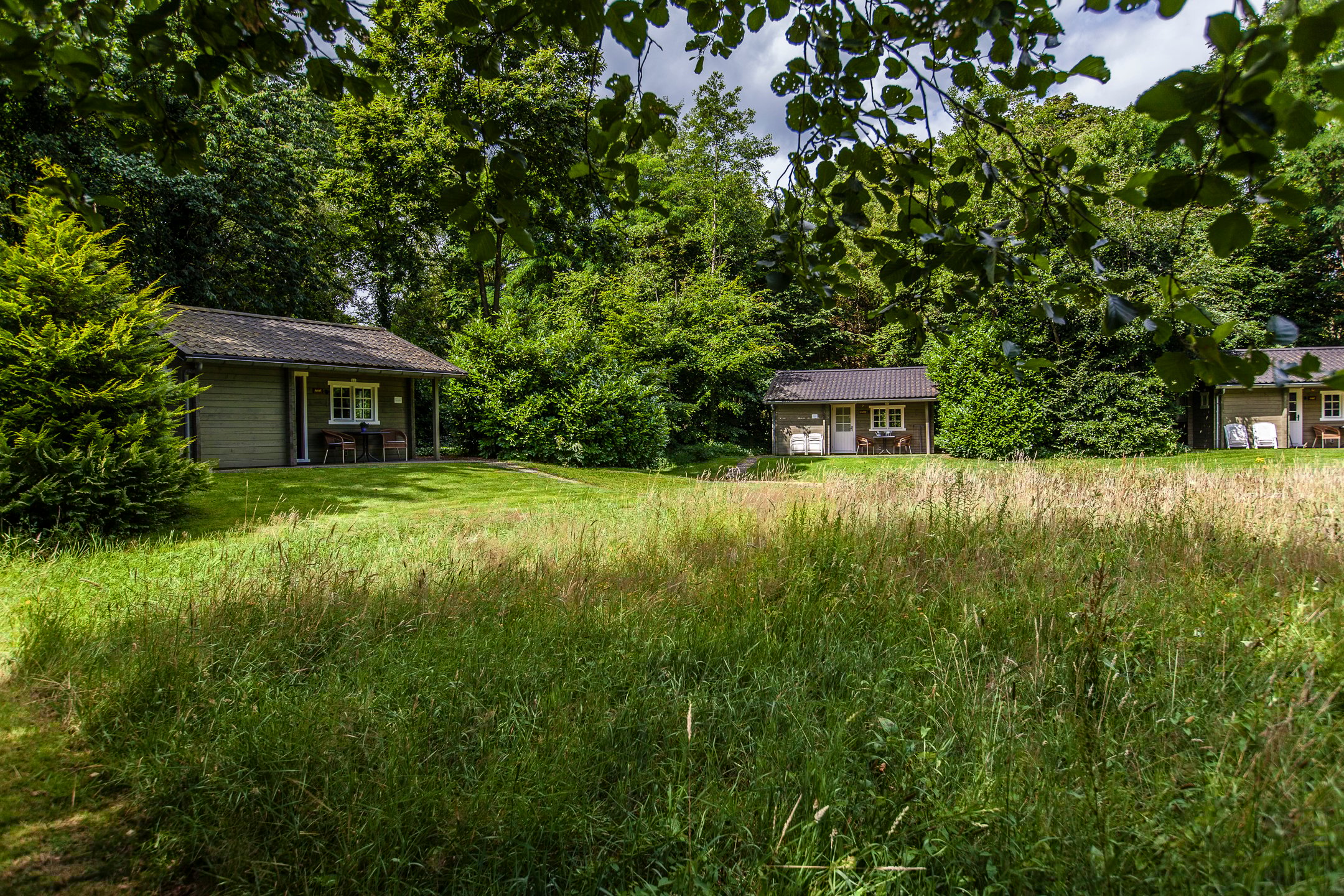 Natuurhuisje in Appelscha