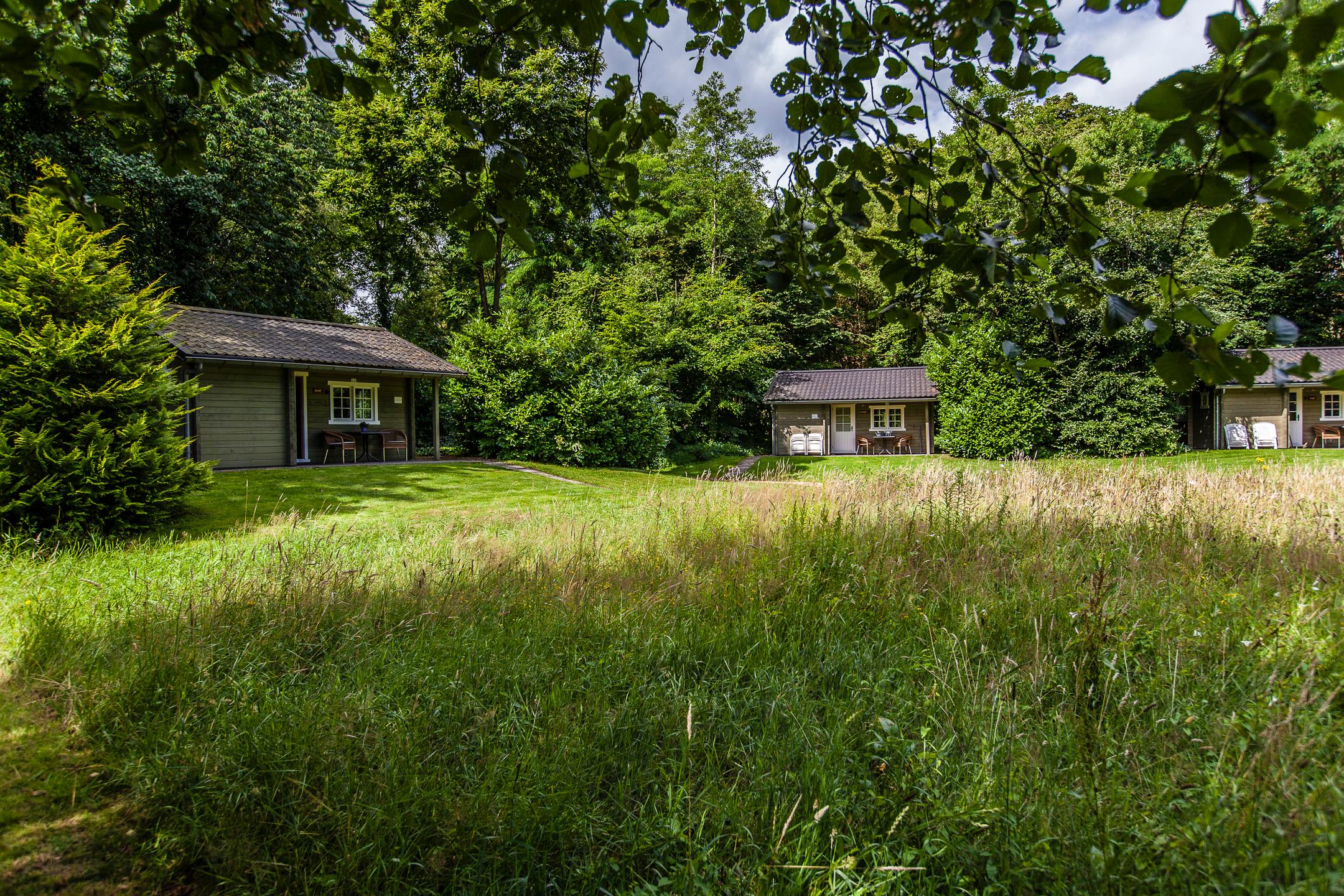 Nature house in Appelscha