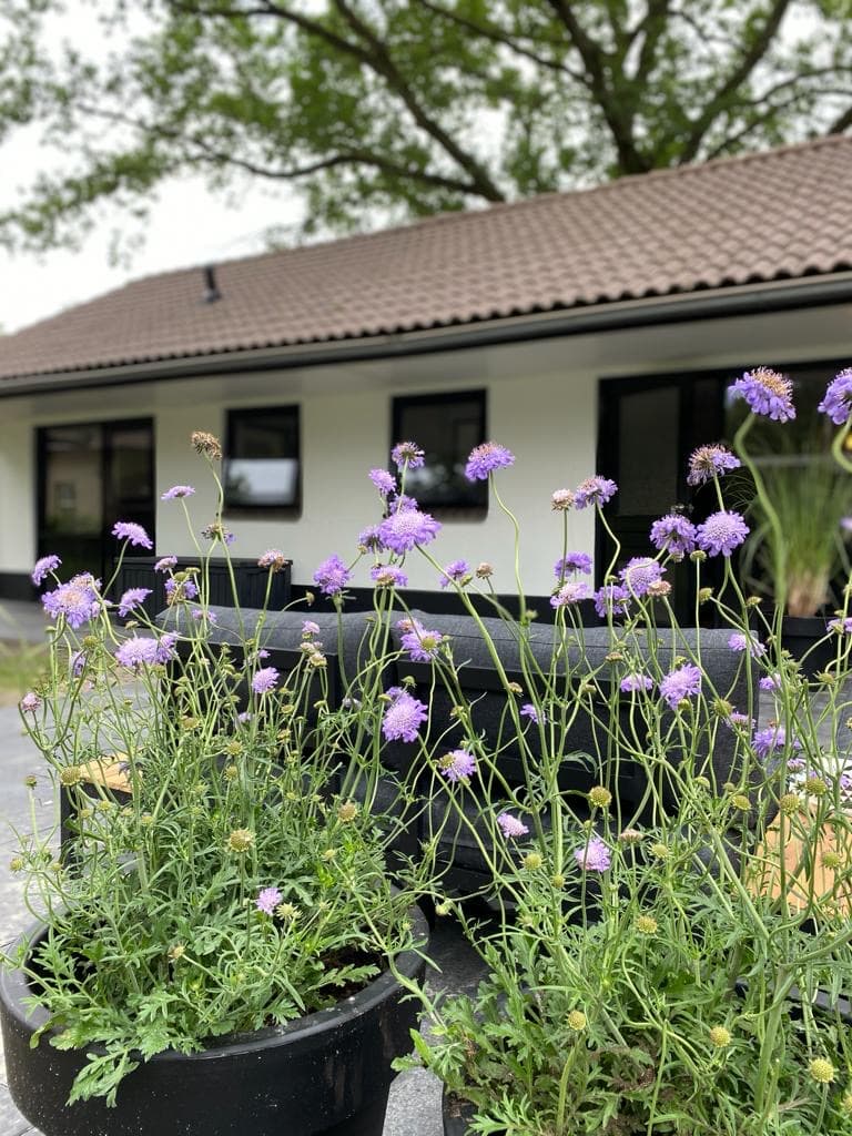 Maison nature à Lieren